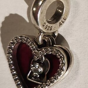 Pandora Charms